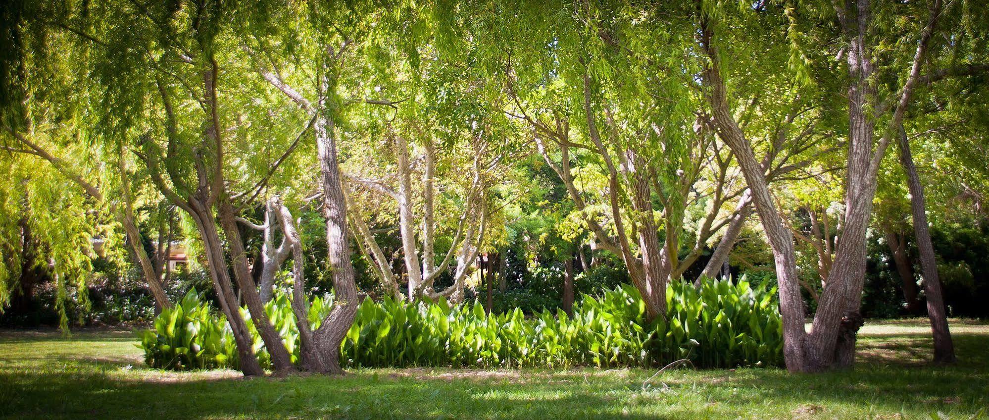 Willowbrook * Cape Town